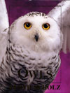 Owls