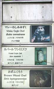 �ŔQ